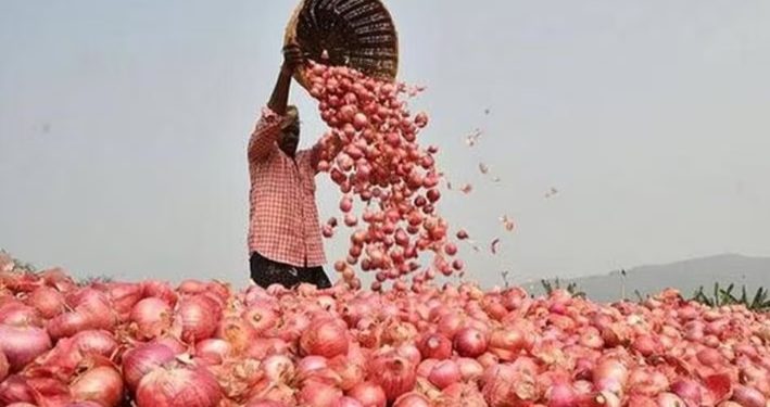 Indian Government Lifts Onion Export Restrictions, Sets Minimum Price at $550 per MT