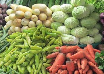 In Srilanka, No Unusual Rise in Vegetable Prices Expected Until End of the Year, Says HARTI