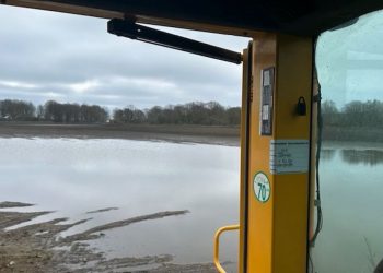 Swedish vegetable growers face a harsh spring: production drops by 30%