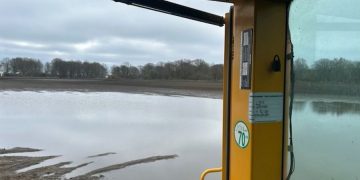 Swedish vegetable growers face a harsh spring: production drops by 30%