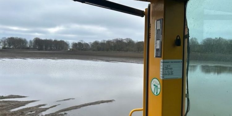 Swedish vegetable growers face a harsh spring: production drops by 30%