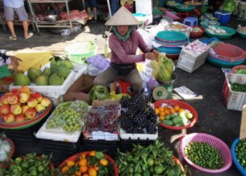 Vietnam Achieves Record-Breaking Vegetable and Fruit Exports, Surpassing 2 Billion USD in 2023