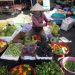Vietnam Achieves Record-Breaking Vegetable and Fruit Exports, Surpassing 2 Billion USD in 2023