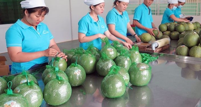 Ensuring compliance and quality assurance of Vietnamese agricultural exports