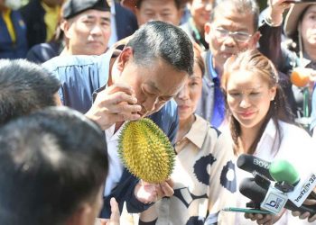 Fighting drought: Thai authorities mobilize support for durian farmers in harsh conditions