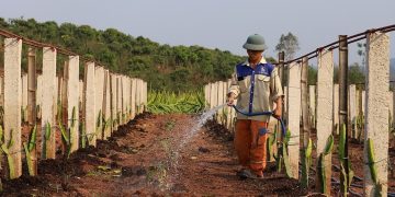 In San La, irrigation systems combat drought