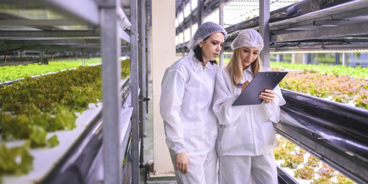 Vertical farming: a sustainable solution for the future of agriculture?