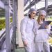 Vertical farming: a sustainable solution for the future of agriculture?