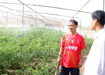Transforming Agricultural Production: Maximizing the Efficiency of Support Capital in Duen Hai District