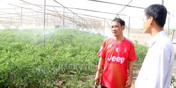 Transforming Agricultural Production: Maximizing the Efficiency of Support Capital in Duen Hai District