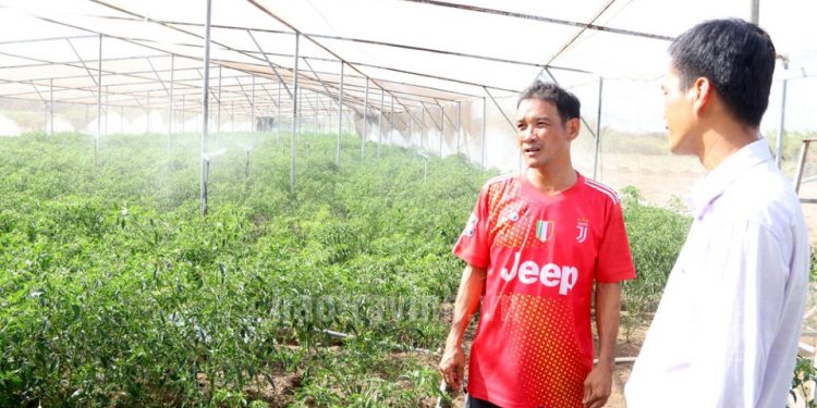 Transforming Agricultural Production: Maximizing the Efficiency of Support Capital in Duen Hai District