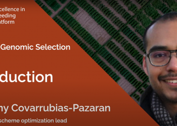 Maximizing Genetic Gain: Harnessing the Power of Genomic Selection