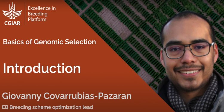 Maximizing Genetic Gain: Harnessing the Power of Genomic Selection