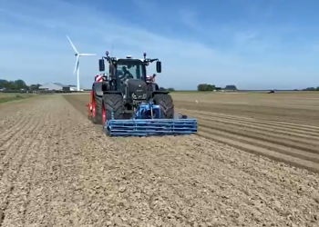 Enhancing Onion Cultivation: Innovative Solutions from Terpstra