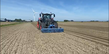 Enhancing Onion Cultivation: Innovative Solutions from Terpstra