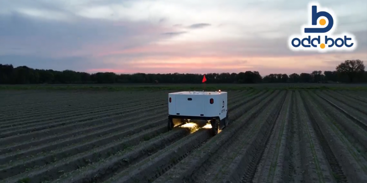 Advancing Sustainable Agriculture with Robotics: The Odd.Bot Maverick System