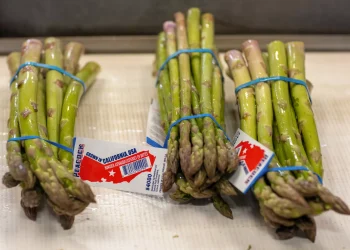 Navigating the Decline of California Asparagus: Challenges and Perspectives