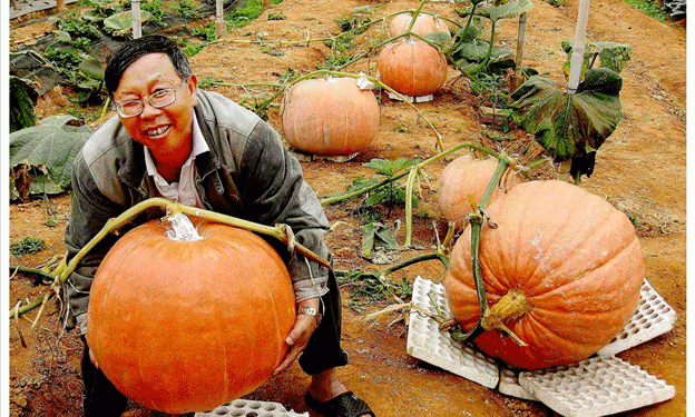 Lê Hữu Phan’s Unique Garden: A Model of Agri-Tourism in Da Lat