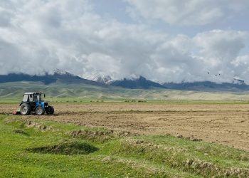 Grupo Agroponiente Poised for 15% Growth in Upcoming Season