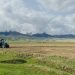 Impact of Erratic Weather on Dutch Field Vegetable Cultivation