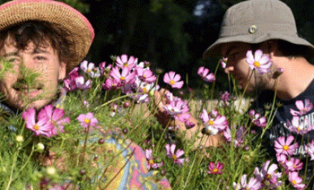 Les Terres D’Ici: meeting place of local gastronomy and sustainable gardening