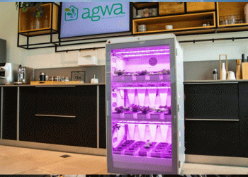 Revolutionizing Home Vegetable Cultivation: Israel’s AgwaFarm