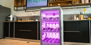 Revolutionizing Home Vegetable Cultivation: Israel’s AgwaFarm