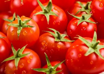 Exploring the Rise in Tomato Prices in Nigeria
