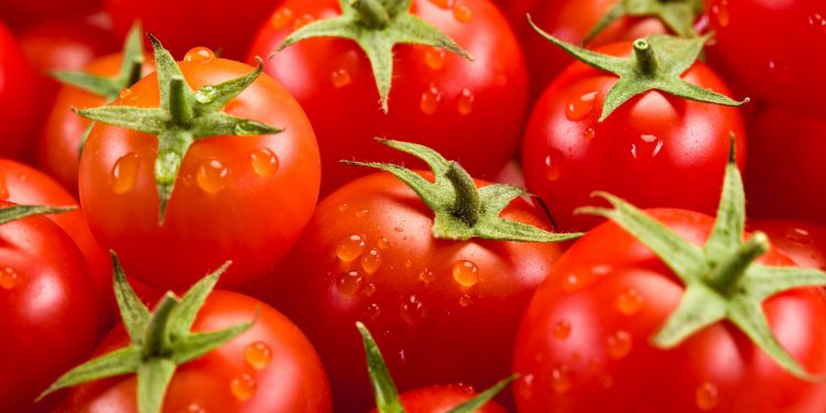 Exploring the Rise in Tomato Prices in Nigeria
