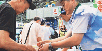 JA Tsumagoi Village Promotes Cabbage Sales at Ota Market, Aiming for Market Stability