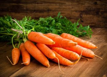 Poland’s Carrot Production Faces Decline Amid Water Scarcity