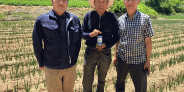 Revolutionizing Crop Growth: Success with Broccoli and Cabbage in South Korea