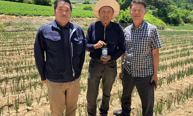 Revolutionizing Crop Growth: Success with Broccoli and Cabbage in South Korea