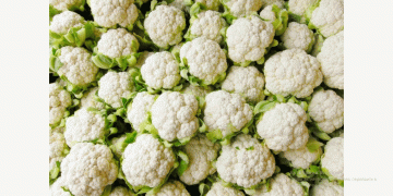 Cauliflower Supply Shortage: Impact of Weather Conditions on Market Dynamics