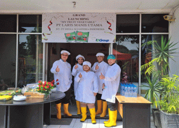 No More Worries, Moms! Introducing Frozen Vegetables Now Available