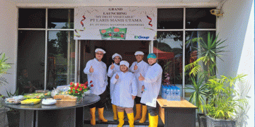 No More Worries, Moms! Introducing Frozen Vegetables Now Available