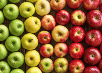 PRO APPLE 2023: Innovative trends in Russian horticulture and nursery farming