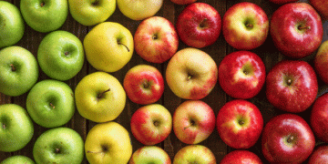 PRO APPLE 2023: Innovative trends in Russian horticulture and nursery farming