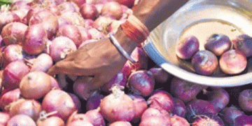 Onion Prices Surge to Rs 50/kg in Bhubaneswar Amid Supply Shortage