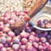 Onion Prices Surge to Rs 50/kg in Bhubaneswar Amid Supply Shortage