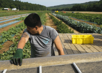 USDA Grants Aim to Improve Retention and Benefits of Farm Workers