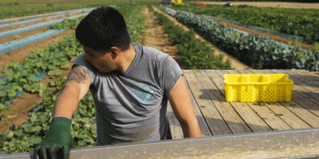 USDA Grants Aim to Improve Retention and Benefits of Farm Workers