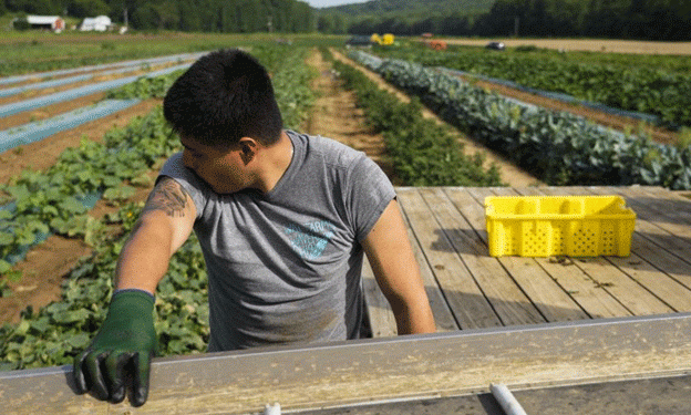 USDA Grants Aim to Improve Retention and Benefits of Farm Workers