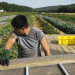USDA Grants Aim to Improve Retention and Benefits of Farm Workers