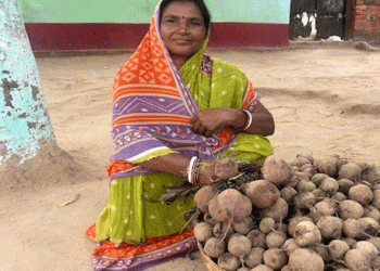 From Debt to Profit: How Neelam Devi’s Beetroot Farming Became a Success Story
