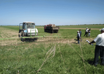 Kyrgyz Sugar Farmers Threatened by Cheap Imports
