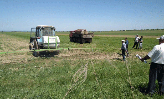 Kyrgyz Sugar Farmers Threatened by Cheap Imports