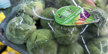 Exploring the Mystery of the 300,000 VND/kg Brussels Sprouts: What Makes Them Special?