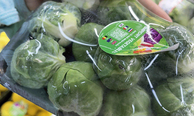 Exploring the Mystery of the 300,000 VND/kg Brussels Sprouts: What Makes Them Special?