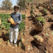 Beet Grass Farming: How Rajasthan Farmers Are Profiting from Low-Cost, High-Yield Crops